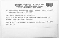 Image Associated With the Occurrence